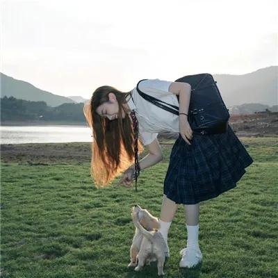 秘密档案 海报